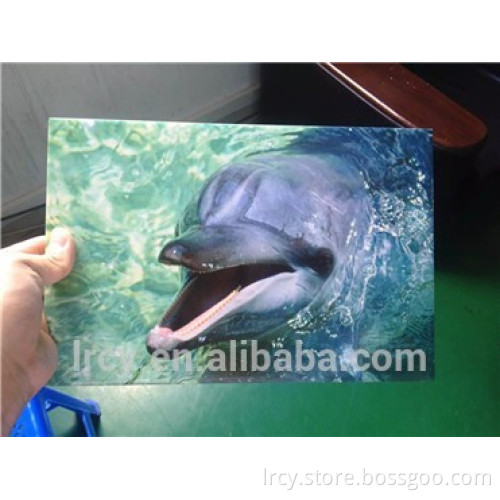 PVC Ceilings Ceiling Tile Type and Ceiling Tiles Type digital printing machine